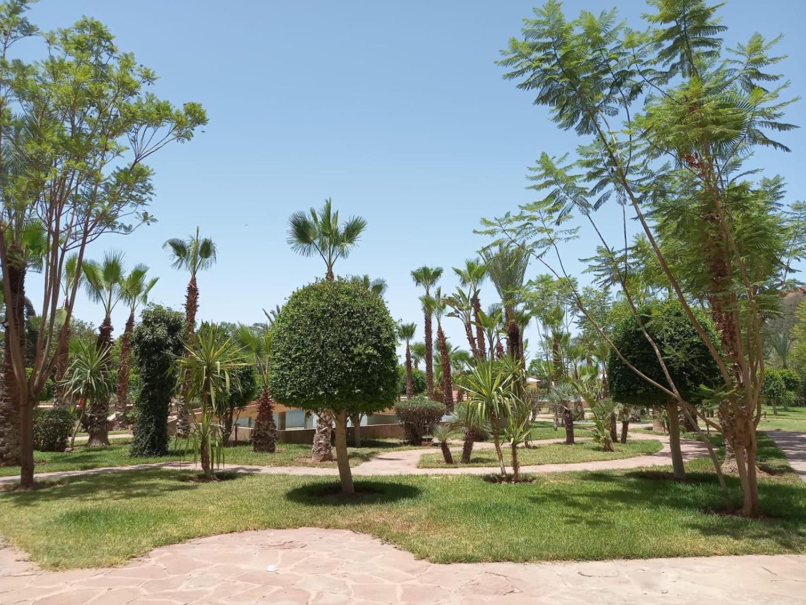 马拉喀什Marrakech M Avenue Terrasse Jardin公寓 外观 照片